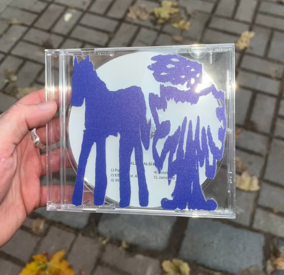 Dukla - Další rok (CD)